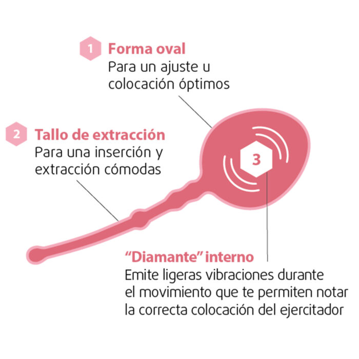 ENNA PELVIC BALL  1 UNIDAD - Imagen 2