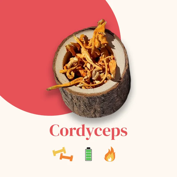 FRENCH MUSH CORDYCEPS 56 CAPSULAS - Imagen 3