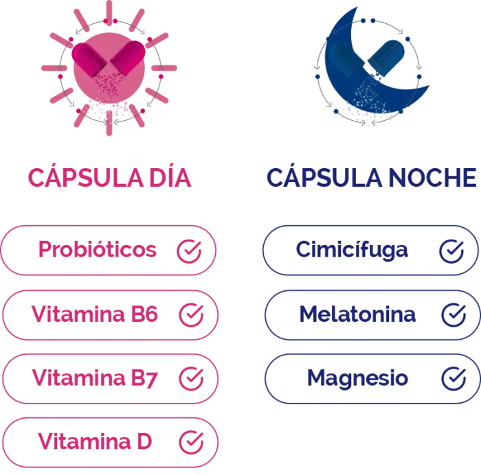 LACTOFLORA MENOPAUSIA DIA & NOCHE  30 CAPSULAS DIA + 30 CAPSULAS NOCHE - Imagen 2
