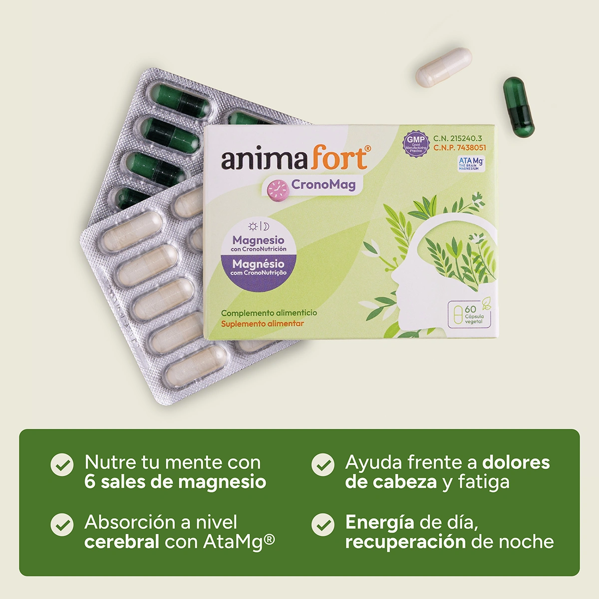 ANIMAFORT CRONOMAG 60 CAPSULAS VEGETALES - Imagen 2