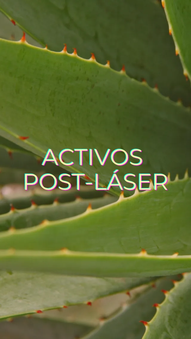 🎯 ¿Te has hecho un láser y tienes la piel súper irritada?
⚠️ ¡Atención, este vídeo es para ti! 

🔥 Después del láser, tu piel necesita activos calmantes eficaces.
Te contamos cuáles son los mejores:
✅ Los clásicos: vaselina, aloe vera, pantenol.
✅ Los innovadores: centella asiática, EGF, ¡y los nuevos exosomas!

💚 Nuestra recomendación:
✔️ Gel de Aloe Vera puro para calmar al instante.
✔️ Sérum Medicube con centella + exosomas para una regeneración TOP. 🔝 

🧴 Cuida tu piel como se merece, con activos que realmente funcionan.

💬 ¿Has usado alguno? ¿Cuál te ha funcionado mejor?
Cuéntanoslo en los comentarios. 👇

❤️ Dale like si te ha ayudado
🔄 Compártelo con quien lo necesite
📲 Y síguenos para más tips.

#PostLaser #CuidadoPiel #FarmaciaCasillas #Dermatología #Skincare #LaserFacial #Exosomas #CentellaAsiatica #AloeVera #EGF #Pantenol #Ávila #PorTi #FarmaciaÁvila